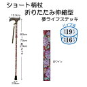 【ポイント最大24倍】【300円クーポン配布中】 杖 つえ ステッキ 伸縮 コンパクト 歩行 補助 高齢者 シルバー 敬老の日 夢ライフステッキ ショート柄杖折りたたみ伸縮型 贈り物 プレゼント