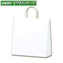 25チャームバッグ 3才 片艶100g 白無地 50枚入 #003250700 バラ販売 シモジマ