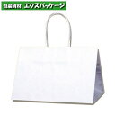 Pスムース 31-19 片艶100g 白無地 300枚入 #003155200 ケース販売 取り寄せ品 シモジマ