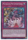 英語版(北米版) シングル5400円お買い上げでパックプレゼント中! ピ Mayakashi Metamorphosis(SR)(1st)(魔妖変生)