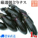 ご注文後に収穫!特別栽培秋ナス ”朝どり特産秋なす”1kg ...