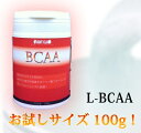 r[ăOV100gQbgIIwITCYL-BCAA 100g z̐ĝ邽߂̕K{TvgIyA~m_Tvgz