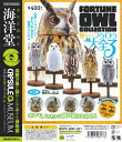 【定形外対応】 海洋堂 カプセルQミュージアム フクロウ大全3 全5種セット