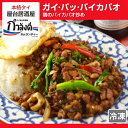 ガパオ(鶏のバイカパオ炒め)タイ国政府公認 本場 タイ料理 ガパオ ガパオガイ ガパオ ホーリーバジル ガイ・パッ・バイカパオ 鶏肉のバジル炒め(冷凍・レトルト)