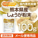 熊本県産しょうが粉末 100g(スプーン付) 【送料無料】【...