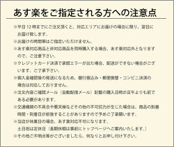 /ガーデン/庭/テーブル/パラソル/ベンチ/テントファクトリー/キャンプサイド折りたたみベッドav-tf-csbed