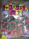 シャコバサボテンの植え替え株分けに♪花ごころ・シャコバサボテンの土 Compost【用土】【培養土】
