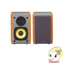 ED-R1010BT-BR プリンストン Bluetooth...