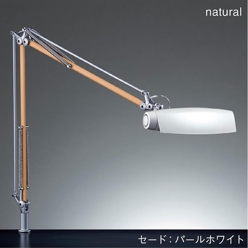 yZ-973NzRcƖ natural(i`) fXNX^hCg / dCX^h[Nv^Cv]ysmtb-kzykyz