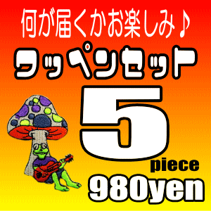 アイロンで一発貼り付け♪ワッペン　アイロン・アップリケ5枚福袋セット♪送料無料！！福袋♪わっぺん　