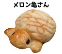 メロン亀さん