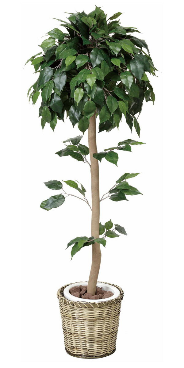 【レビューを書いて送料無料】光触媒 人工観葉植物◆GREENシリーズ フロアタイプ（ミドルサイズ）◆ベンジャミントピアリー1.2　高さ120cm