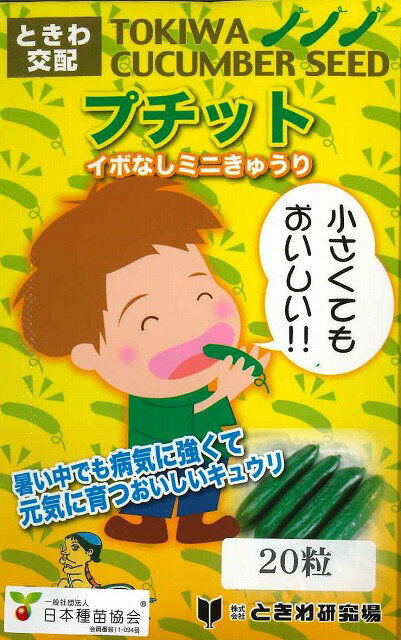 プチット(種)