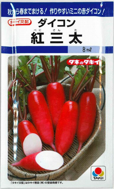 大根紅三太
