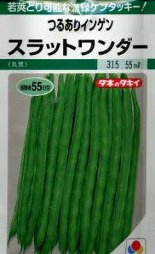 いんげんつるありスラットワンダー 55ml タキイのタネ