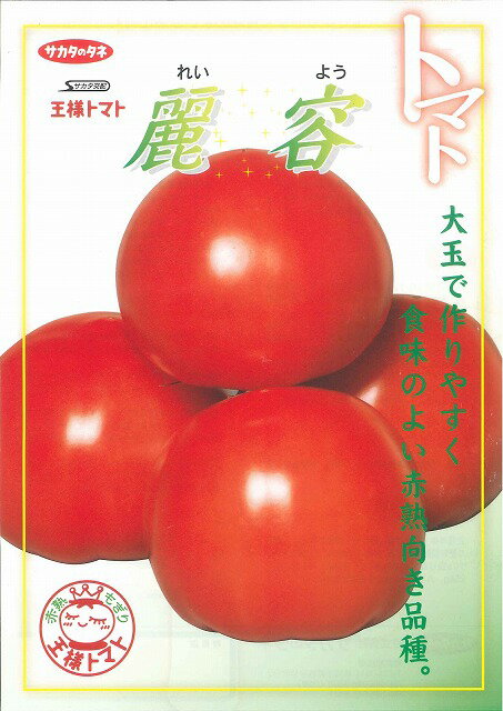 送料無料!!野菜種 トマト麗容 1000粒サカタのタネ 送料無料!!野菜種 トマト麗容 1000粒サカタのタネ
