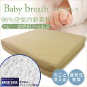 【送料無料】 ベビーブレス ベビー用マットレス 【洗える 赤ちゃん 敷きパッド ベビー敷布団 ベビーベッド 出産準備 東洋紡 清潔な眠り 東洋紡ブレスエアーを使用したベビーマットレス】
