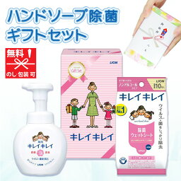 【在庫あり 引越し 挨拶 <strong>ギフト</strong> 粗品】ライオン キレイキレイ <strong>ギフト</strong>セット LKG-6A【<strong>ハンドソープ</strong> <strong>ギフト</strong> 引越し 挨拶 引っ越し 引っ越し祝い LIONS 粗品 法要 香典返し 粗供養 粗品 内祝い 除菌 手洗い 消耗品 生活用品】[zkas]