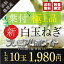 浜松篠原産【A級品L玉】【葉付新白玉ねぎ】プレミアムホワイト【10玉】 辛くない!芳醇な甘さとみずみずしさが魅力【農家直送】【送料無料】12月下旬発送開始予定 1,980円