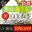 【早割10%OFF】浜松篠原産【A級品L玉】【葉付新白玉ねぎ】プレミアムホワイト【20玉】 辛くない!芳醇な甘さとみずみずしさが魅力【農家直送】【送料無料】12月下旬発送開始予定 2,952円