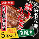 ●父の日ギフト うなぎ●【贈答品】【浜名湖産】うなぎ 鰻 浜名湖 蒲焼き 5尾セット【きも焼き付】 贈答にも♪