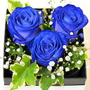 青いバラ ブルーローズ 奇跡の青い薔薇(バラ) フラワーボッ...