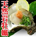 岩ガキ 天然 山形県産 800g〜1kg カラ割り 中5個 生食用 岩牡蠣 岩がき お中元 ギフト 贈答 【楽ギフ_のし】【楽ギフ_のし宛書】