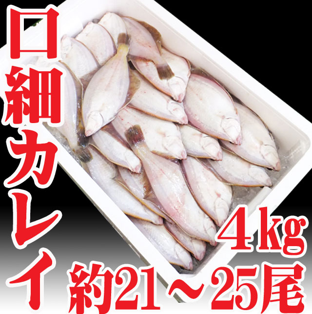 山形県産　真かれい 4kgバラ（21〜25尾）冷蔵 口細カレイ 真ガレイ 旬の鮮魚 煮つけ…...:auc-hasegawasengyo:10000288