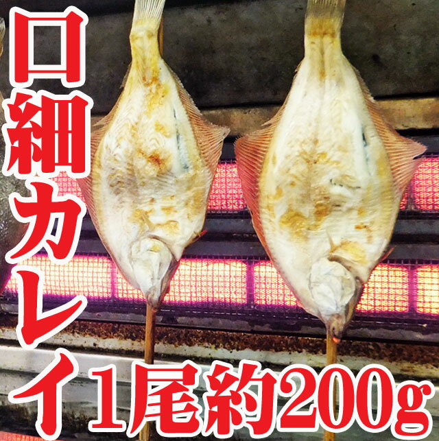 山形県産　真かれい 素焼き約200g冷蔵 口細カレイ 真ガレイ 焼き魚 旬の鮮魚...:auc-hasegawasengyo:10000289