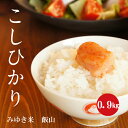 幻の米 飯山みゆき米 特A1等米 30年産 白米 0.9kg...