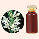 【GET!生活の木 エッセンシャルオイル チュベローズAbs. 3mL】精油・アロマ