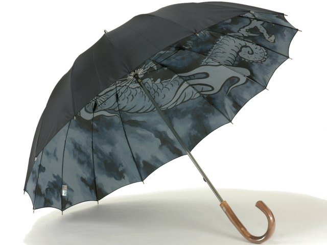 פǷڤȽܥ16ܹ׸ϤΡζ(Dragon)΢ĥ걫ܥ16ܹ »Ĺ