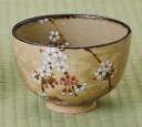 【茶道具 抹茶椀】乾山写茶碗 桜 田中啄也作 【茶道具 抹茶椀】乾山写茶碗 桜 田中啄也作