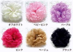 LO܁iOցOjRT[WOI[KW[6r-ayYDKG-tdz