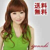 送料無料 期間限定80％OFF！お姫様に可愛いスタイル！　耐熱　ロングヘアー に早変り★ ネット 付き♪ (L9C7)ウィッグ ・ かつら 専門店の ウィッグ で大変身!! 耐熱仕様 専用ネット 付きでお得!!