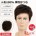 人毛100% 男性かつら 男 ウィッグ フルウィッグ かつら ウイッグ 白髪隠し 増毛 薄毛 メンズ ボリュームアップ 私元気【送料無料】GF001