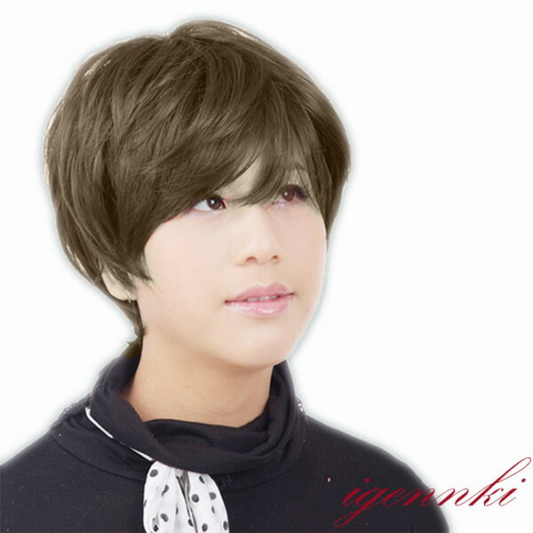 ウィッグ ・ かつら 専門店の ウィッグ で大変身!! 耐熱仕様 専用ネット 付きでお得!! ウィッグ ・ かつら ・ コスプレウィッグ ・ カツラ 耐熱繊維 ショートヘアー に早変り★ ネット 付き♪(S14C9)