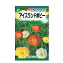 花の種 トーホク アイスランドポピー...