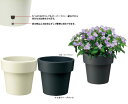 底面給水 ウォータープラス 30型 アイボリー 大和プラスチック