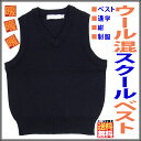 【メール便限定送料無料】スクールベスト スクール ニットベスト ■ ウール混 紺 男女児兼用 (100?170cm) ■ スクールセーター キッズ 学生服 小学生制服 男の子 女の子 ジュニア 男児 女児 無地 チョッキ 通学 制服 毛混 Vネックベスト ネイビー 子供服 フォーマル