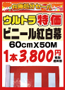ウルトラ特価SALE!【ビニール紅白幕】60cm×約50m巻