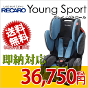 ¨Ǽۥ쥫 ˥ 󥰥ݡġ̵ۡڥݥ8ܡۡ쥫  RECARO ˥ 󥰥ݡ 쥤ڥȥ [ Young Sport ][ ̵ ]smtb-F