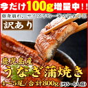 【今だけ100g増量中!!合計900g♪】うなぎ 蒲焼き 訳あり【送料無料】本格!鹿児島県産 4〜5尾/総重量800g♪ 蒲焼きのタレ付き♪【土用の丑】【贈答ギフト】【通販】【取り寄せ ウナギ 国産 鰻 うなぎ蒲焼 2017 国内産】【人気】【プレゼント】【人気グルメ】