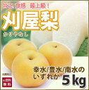 梨 幸水 なし 送料無料 大玉 贈答用 山形特産 酒田市 刈屋梨( かりやなし ) 5kg ( 幸水 南水 豊水 ) 収穫時期で品種が変わります 訳あり 10kg 二十世紀 二十世紀梨 新興 千葉 山梨 秋麗