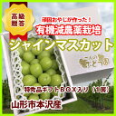シャインマスカット 山形 ギフト 産地直送 送料無料 葡萄 ぶどう 【 シャインマスカット 秀品 800g ギフト BOXに1房入り 】 訳あり 2kg 5kg 値段 産地 時期 送料込 山梨 長野 山梨 岡山 農産物