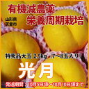 【送料無料】山形の桃 光月(南国ピーチ)極甘 大玉2.5kg(8・9玉) 有機減農薬栽培 ※発送期間は(10月5日頃?10月10日頃)