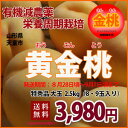 【送料無料】黄金桃(金桃)大玉2.5kg(8・9玉) 有機減農薬 栄養周期栽培 ※発送期間は(8月28日頃?9月7日頃)