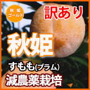 あきひめ すもも 送料無料 プラム スモモ ソルダム 山形 【 訳あり すもも 秋姫 ご家庭用 1.5kg(7個〜10個入り)満杯詰 】 プラムジャム 農産物 ポイント消化 100円 300円 500円