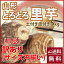 訳あり 里芋 送料無料 【 山形産 土付き皮付き サイズ不揃い 5kg 】 さといも サトイモ 山形県名物 とろとろ里芋 海老芋 里芋粉 皮むき 国産 冷凍 里芋の煮っ転がし レシピ 旬 味噌汁 栄養 カロリー 山形 芋煮会 ねっとり 種芋 農産物