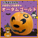 ハロウィン 生かぼちゃ カボチャ オバケカボチャ おばけかぼ...